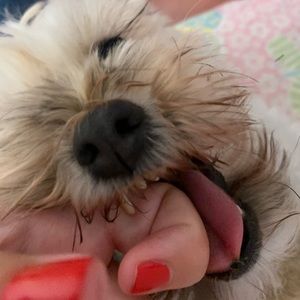 Meet your Posher, Colleen